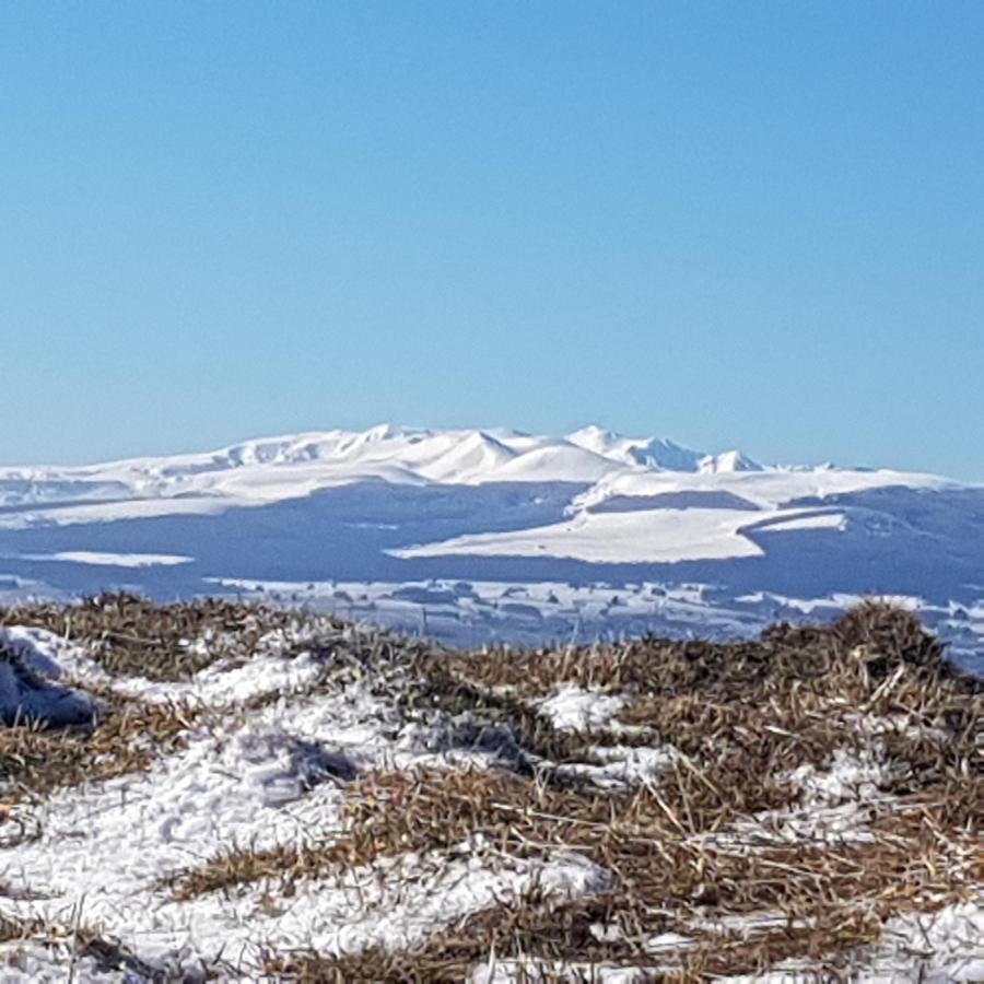 Sejour Au Coeur Des Volcans Hébergement de vacances